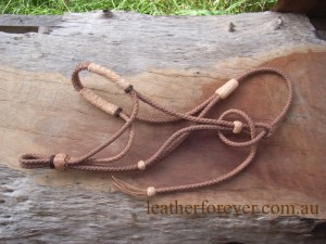 Leather Halter 003    