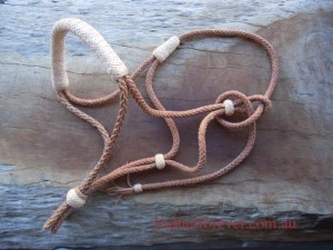 Leather Halter 024    