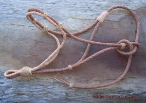 Leather Halter 026    