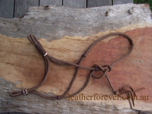 Leather Halter 029    