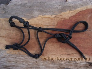 Rope Halter 002