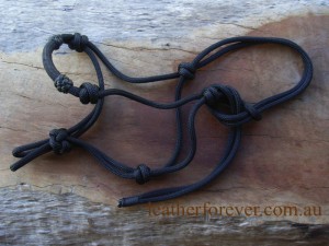 Rope Halter 014a  