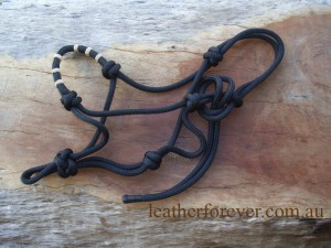 Rope Halter 017  