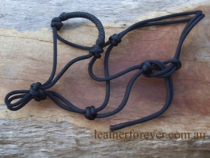 Rope Halter 019  