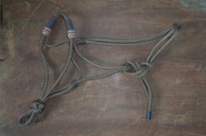 Rope Halter 1005  