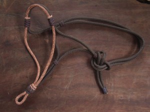 Rope Halter 1017  